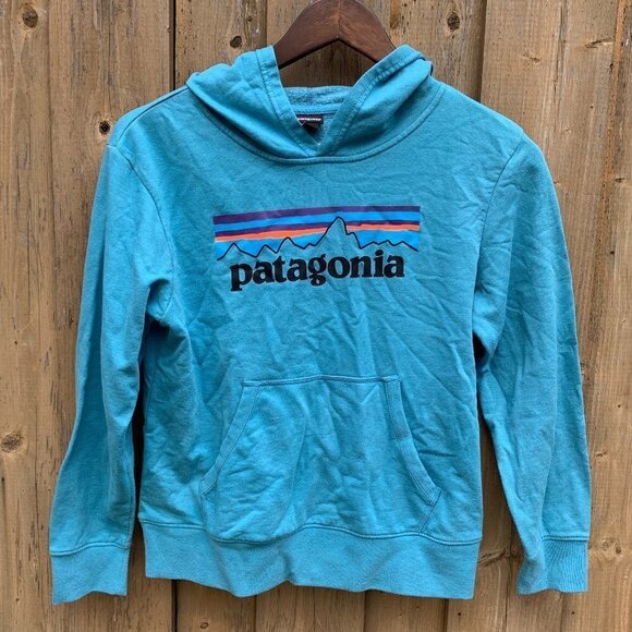 Patagonia BIG Logo Sweater Hoodie Large Blue - Picture 1 of 3
